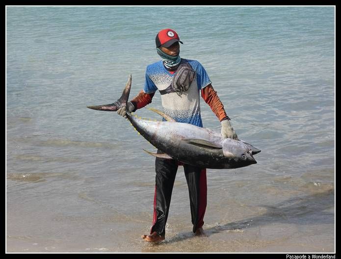Jimbaran Playas Bali Indonesia